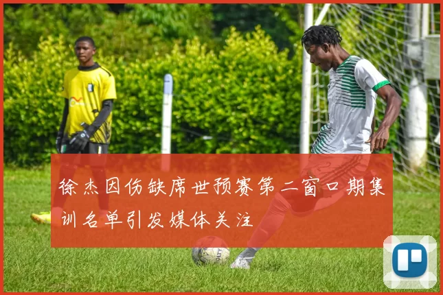 徐杰因伤缺席世预赛第二窗口期集训名单引发媒体关注