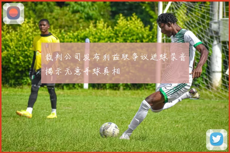 裁判公司发布利兹联争议进球录音揭示无意手球真相