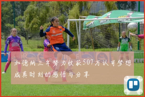 加德纳三年努力收获507万认可梦想成真时刻的感悟与分享